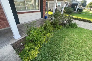 A house with a front lawn.
