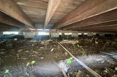The underside of a house with dirt and plants, emphasizing foundation repair.