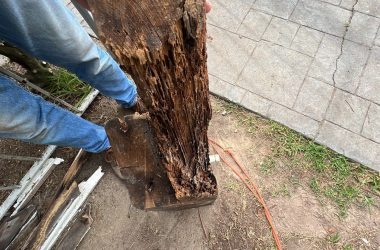 A man is removing a tree stump from the ground.