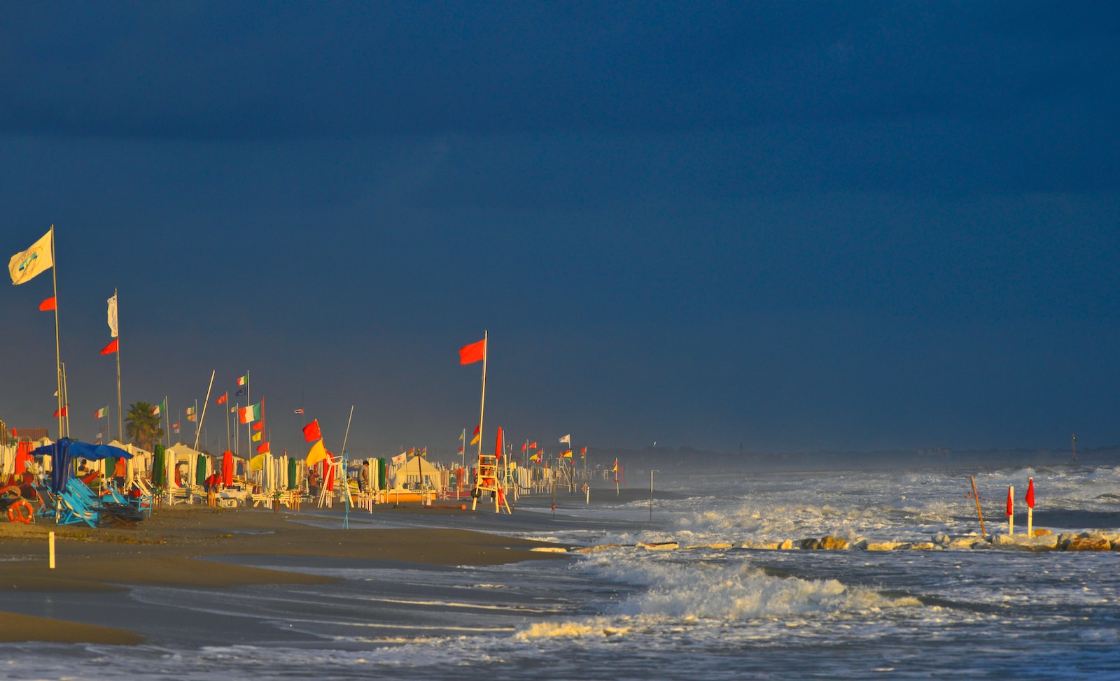 people on beach during night time