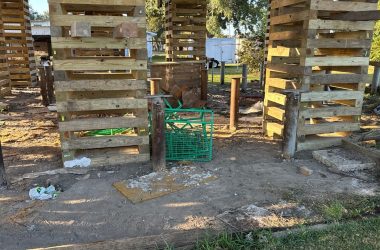A pier and beam structure is being built in a yard, addressing any existing problems with the foundation.
