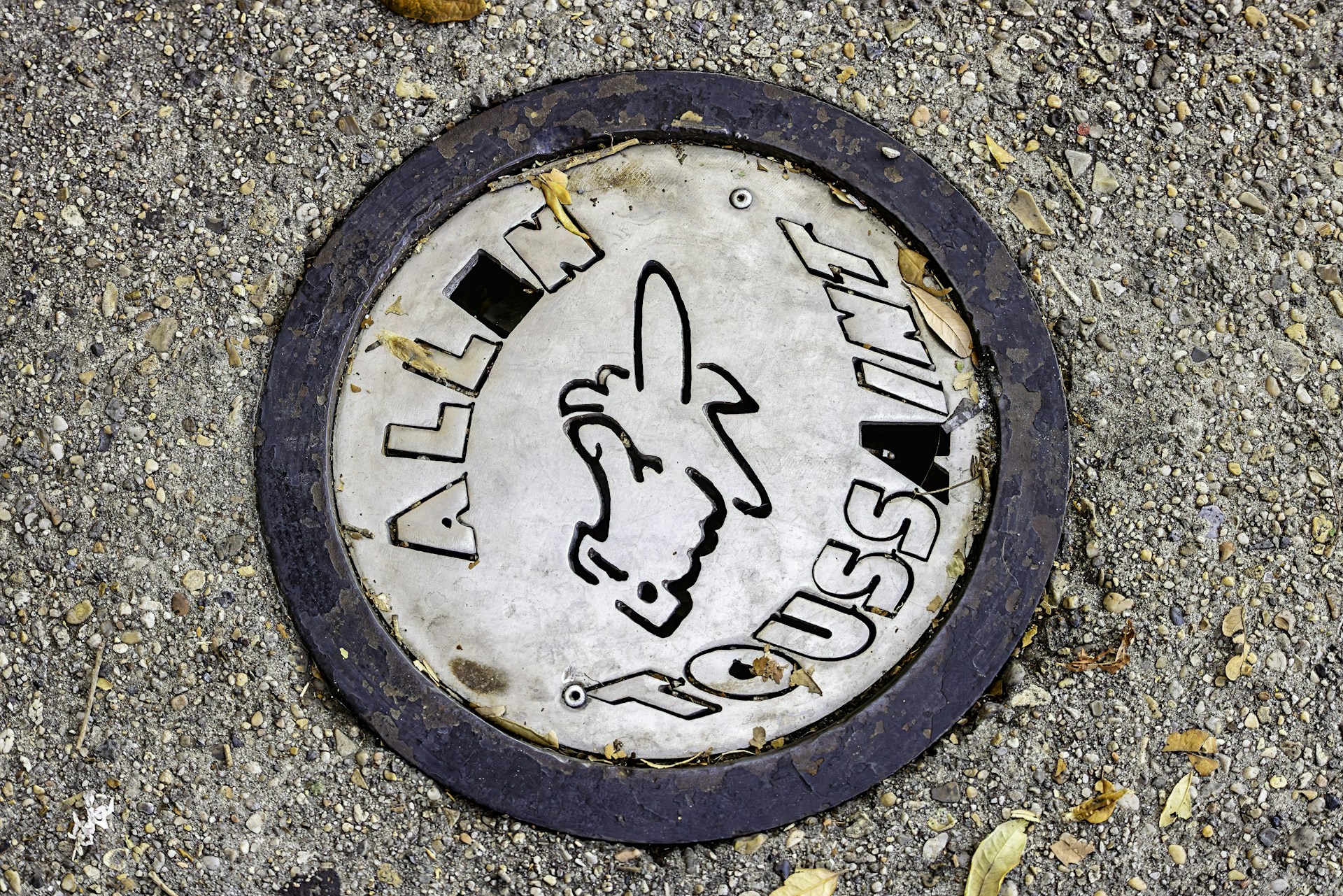 A manhole cover with a logo on it, depicting soil stabilization techniques.