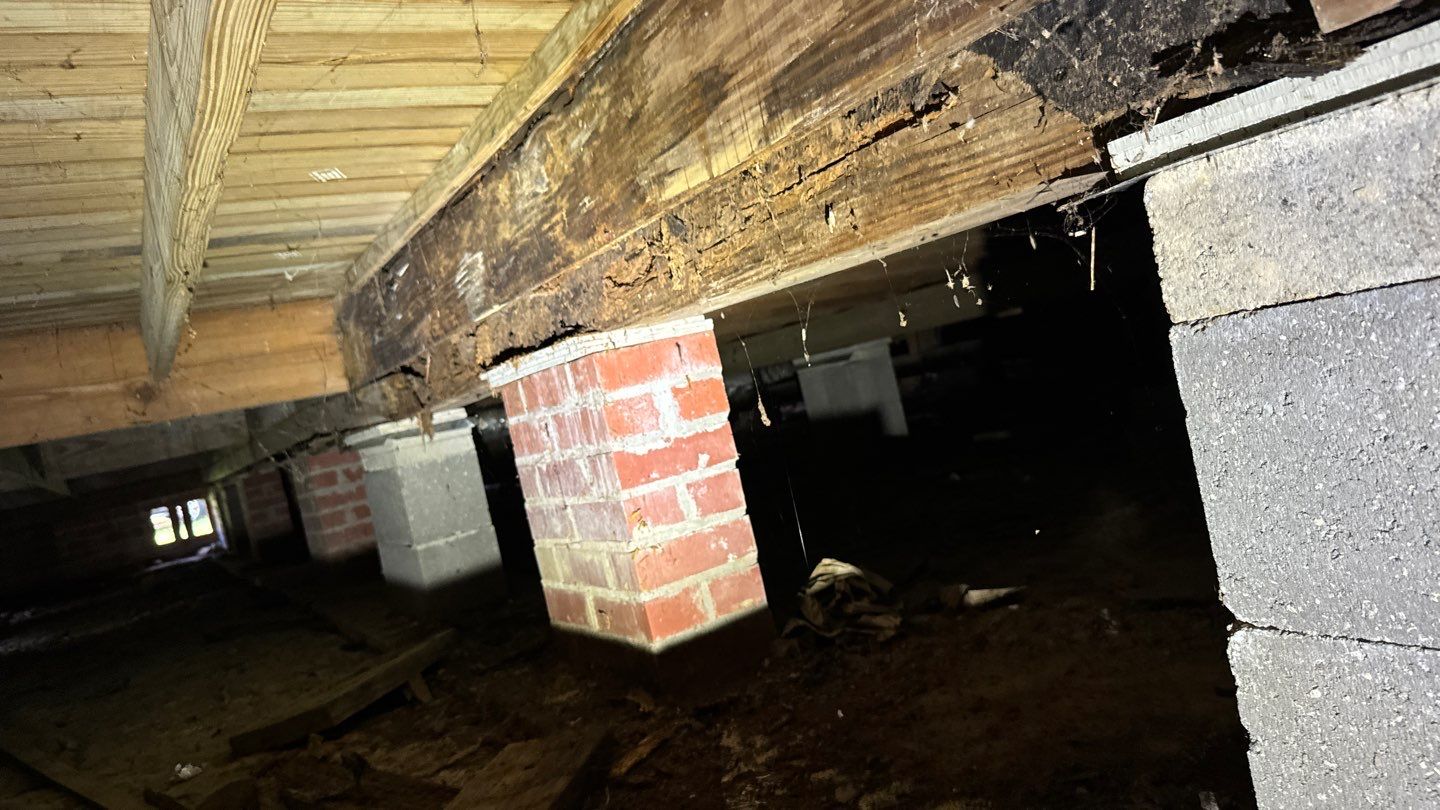 A dimly lit crawl space with brick and concrete supports, showing signs of wooden beam damage, auto draft in its deterioration marked by visible mold, rot, and decay.