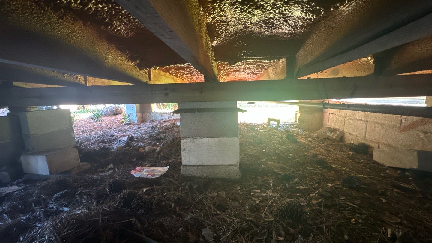 View of the underside of a building in Baton Rouge, showing supporting columns, beams, and insulation. The ground is covered with dry leaves, debris, and a plastic wrapper, hinting at possible foundation repair needs due to damaged foundations.