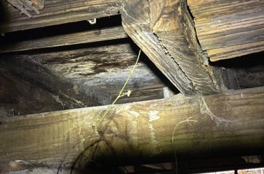 Close-up view of wooden beams, reminiscent of historic New Orleans homes, with visible cobwebs and some wear, illuminated by a flashlight.
