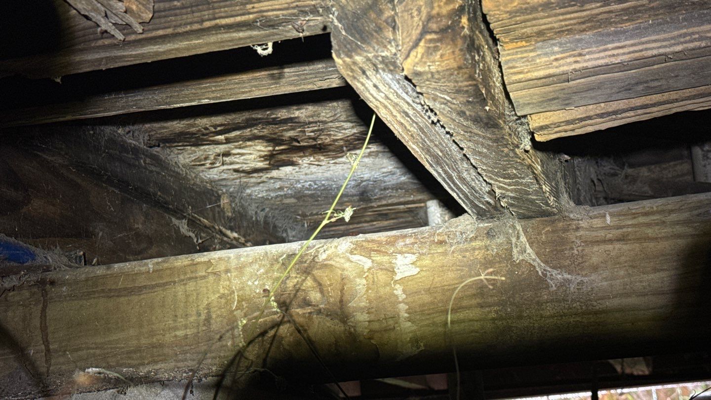 Why Foundation Leveling Is Crucial for Buying or Selling a Home in New Orleans